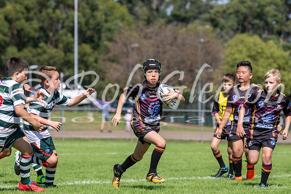 20190406_Under 9 (3) Vs Greystanes - R1_011