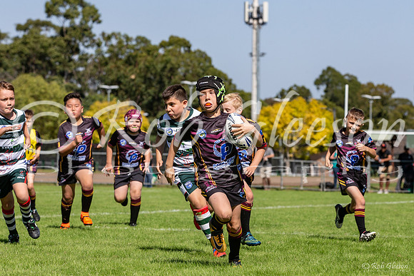 20190406_Under 9 (3) Vs Greystanes - R1_015