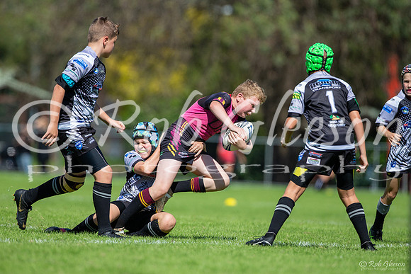 20190406_Under 12 (2) Vs Rouse Hill - R1_012