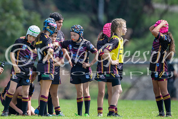 20190413_Under 10 (3) Vs Greystanes - R2_006