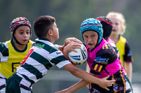 20190413_Under 10 (3) Vs Greystanes - R2_057