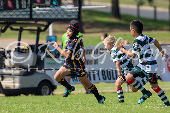 20190413_Under 10 (3) Vs Greystanes - R2_090