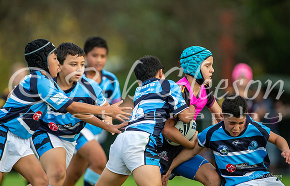 20190413_Under 11 (1) Vs Cabramatta - R2_032