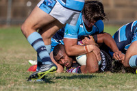 20190414_RMC R5 - Bulls Vs Cabramatta_080