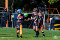 U6(2) R5 v Wenty_14