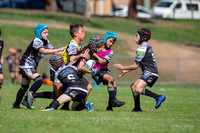 20190413_Under 11 (4) Vs Rouse Hill (3) - R2_045