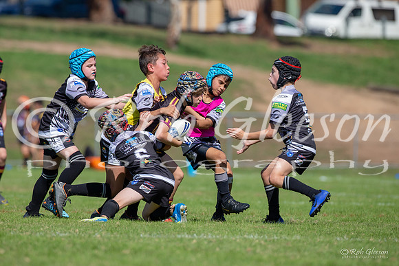 20190413_Under 11 (4) Vs Rouse Hill (3) - R2_045