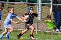 20190511_Under 6 (2) Vs Laylor Park - R5_001
