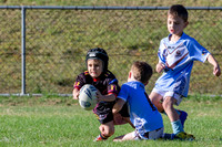 20190511_Under 6 (2) Vs Laylor Park - R5_021