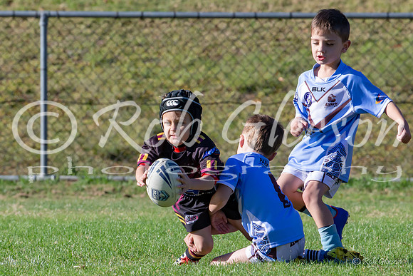 20190511_Under 6 (2) Vs Laylor Park - R5_021