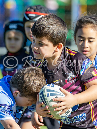 20190511_Under 6 (2) Vs Laylor Park - R5_041