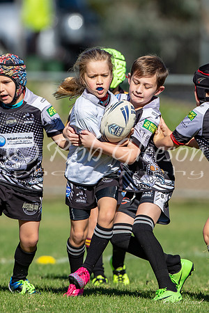 20190511_Under 8 (2) Vs Rouse Hill - R5_038