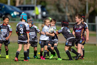 20190511_Under 8 (2) Vs Rouse Hill - R5_039