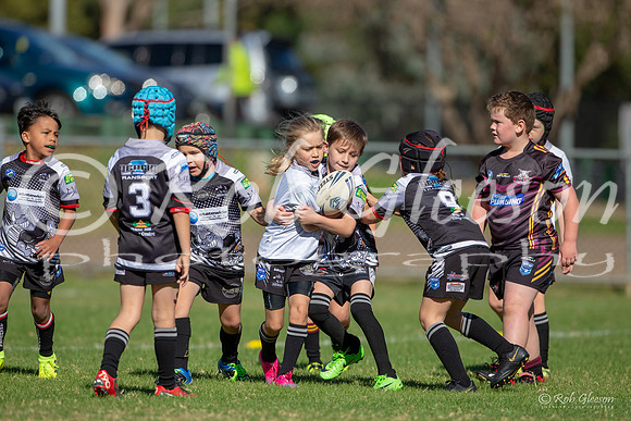 20190511_Under 8 (2) Vs Rouse Hill - R5_039