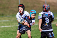 20190511_Under 8 (2) Vs Rouse Hill - R5_057