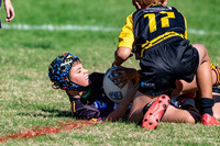 20190511_Under 10 (2) Vs Mounties - R5_032