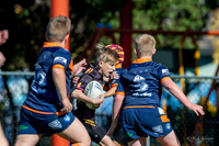 20190511_Under 11 (4) Vs Toongabbie - R5_036