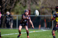 Under 11 - Hills 2019