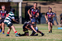 20190511_Under 12 (1) Vs Greystanes - R5_121