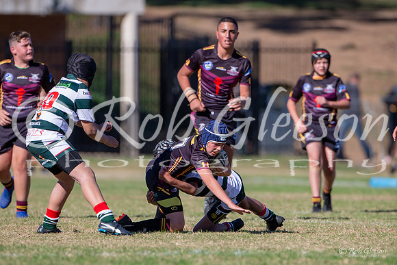 20190511_Under 12 (1) Vs Greystanes - R5_121