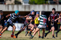 20190511_Under 12 (1) Vs Greystanes - R5_079