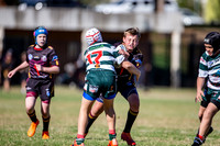 20190511_Under 12 (1) Vs Greystanes - R5_094
