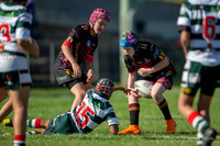 20190511_Under 12 (1) Vs Greystanes - R5_106