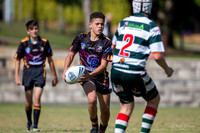 20190413_Under 14 (1) Vs Greystanes - R2_093