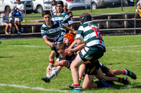 Under 14 - Hills 2019