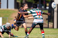 20190413_Under 14 (1) Vs Greystanes - R2_026