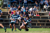 20190413_Under 14 (1) Vs Greystanes - R2_047