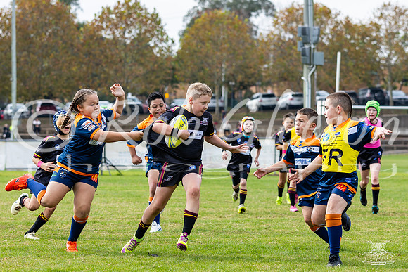 U9(3) - R5 v AST Tigers_3