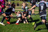 20190727_Under 6 (3) Vs Rous Hill (2) - R14_026