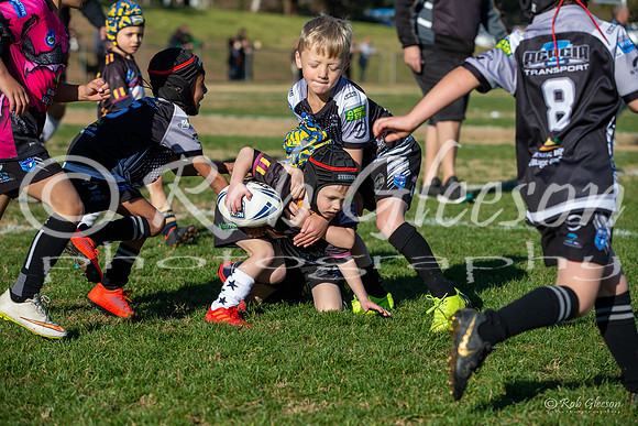 20190727_Under 6 (3) Vs Rous Hill (2) - R14_026