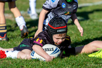 20190727_Under 6 (3) Vs Rous Hill (2) - R14_028
