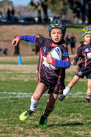 20190727_Under 6 (3) Vs Rous Hill (2) - R14_089
