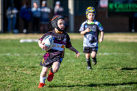 20190727_Under 6 (3) Vs Rous Hill (2) - R14_021