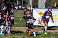 20190727_Under 6 (3) Vs Rous Hill (2) - R14_034
