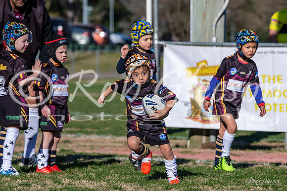 20190727_Under 6 (3) Vs Rous Hill (2) - R14_034