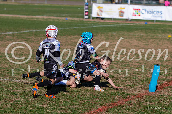 20190727_Under 6 (1) Vs Rouse Hill (1) - R14_082