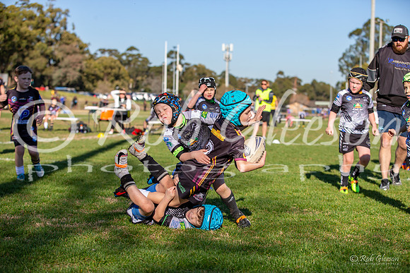 20190727_Under 6 (1) Vs Rouse Hill (1) - R14_041