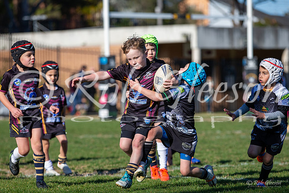 20190727_Under 6 (1) Vs Rouse Hill (1) - R14_071