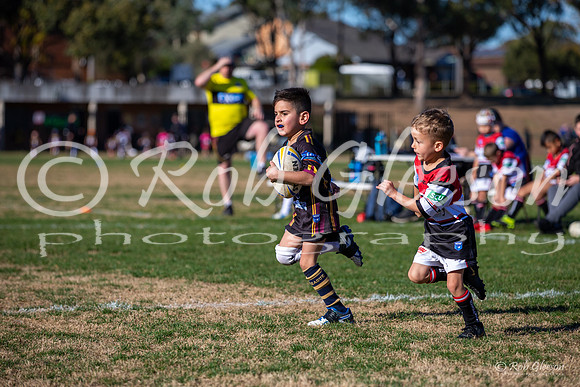 20190727_Under 6 (2) Vs Kellyville (1) - R14_007