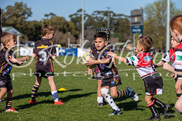 20190727_Under 6 (2) Vs Kellyville (1) - R14_023