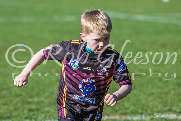 20190727_Under 7 (3) Vs Astoongabbie (2) - R14_038