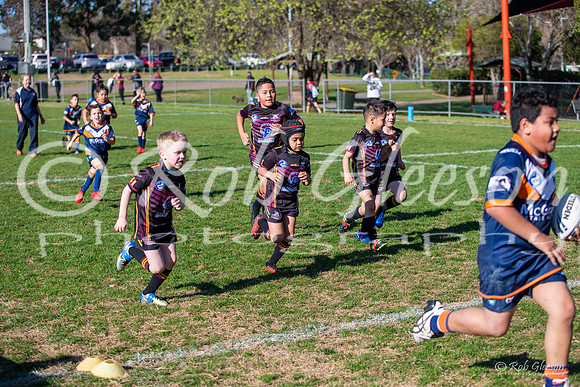 20190727_Under 7 (3) Vs Astoongabbie (2) - R14_040