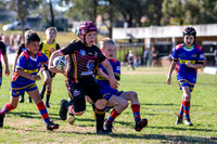 20190727_Under 9 (3) Vs CVDiggers - R14_066