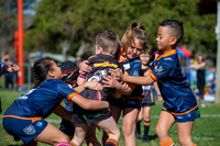 20190727_Under 7 (1) Vs ASToongabbie - R14_036