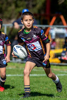 20190727_Under 7 (1) Vs ASToongabbie - R14_024
