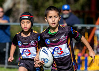 20190727_Under 7 (1) Vs ASToongabbie - R14_025